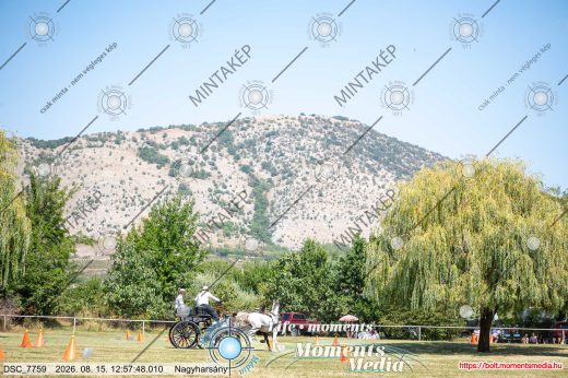 Mintakép 20260815-1231