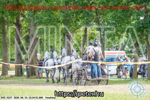Mintakép 20260613-1561
