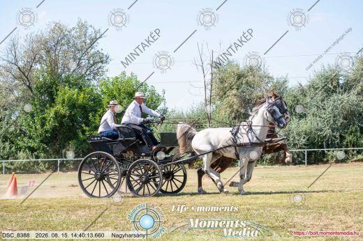 Mintakép 20260815-1246