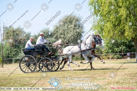 Mintakép 20260815-1247