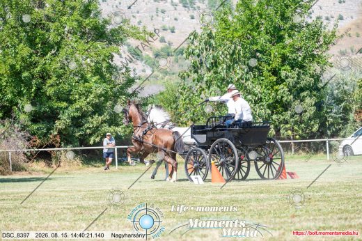 Mintakép 20260815-1249