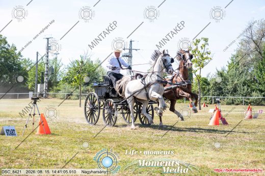 Mintakép 20260815-1263