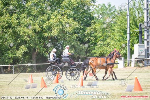 Mintakép 20260815-1273