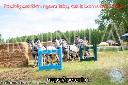 Mintakép 20260613-1566