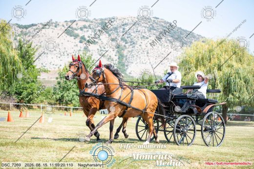 Mintakép 20260815-1290