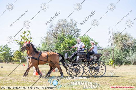 Mintakép 20260815-1292