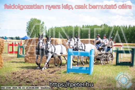 Mintakép 20260613-1567