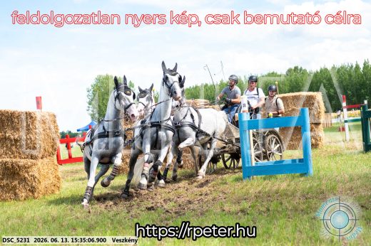 Mintakép 20260613-1568