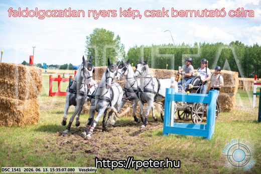 Mintakép 20260613-1569