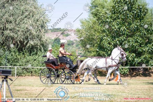 Mintakép 20260815-1315