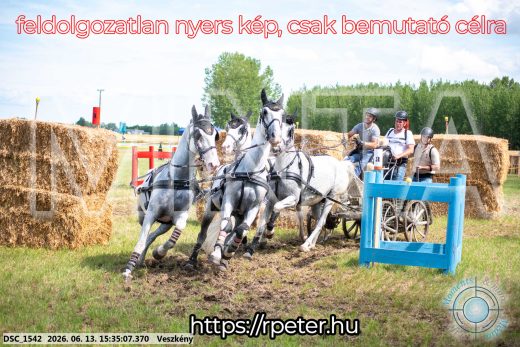Mintakép 20260613-1570