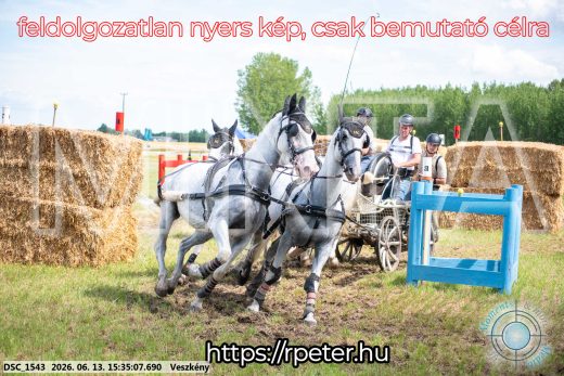 Mintakép 20260613-1571