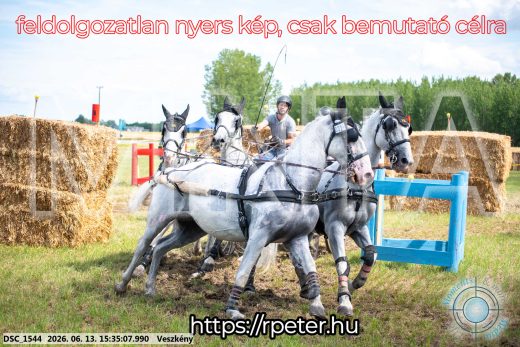 Mintakép 20260613-1572