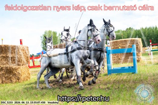 Mintakép 20260613-1574