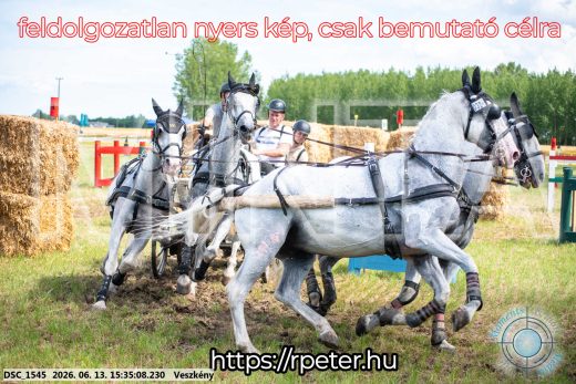 Mintakép 20260613-1576