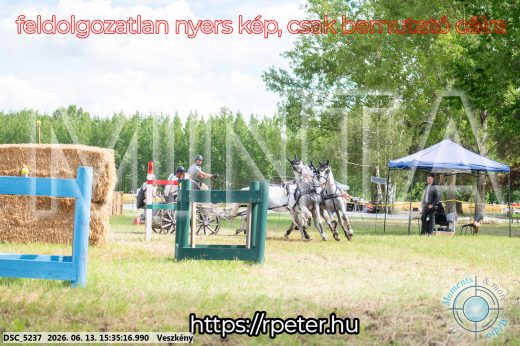 Mintakép 20260613-1579