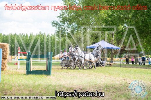 Mintakép 20260613-1580