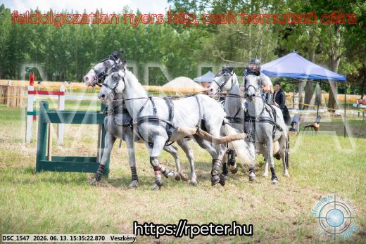 Mintakép 20260613-1582