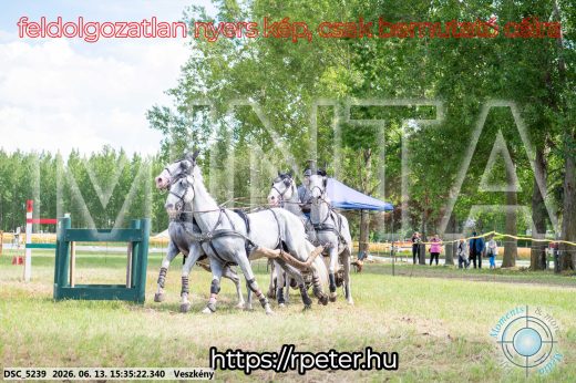 Mintakép 20260613-1583