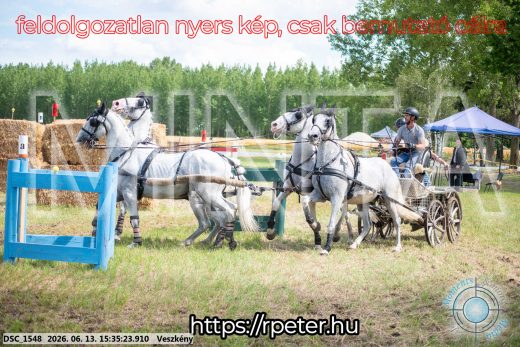 Mintakép 20260613-1584