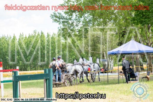 Mintakép 20260613-1587