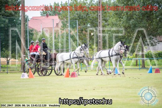 Mintakép 20260614-725