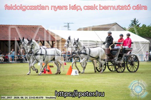 Mintakép 20260614-736