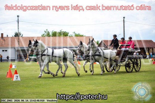 Mintakép 20260614-737