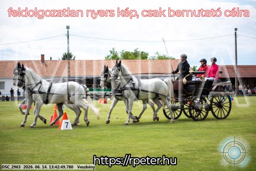Mintakép 20260614-738