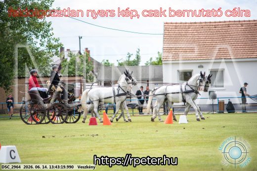Mintakép 20260614-740