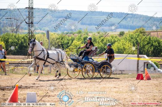 Mintakép 20260809-472