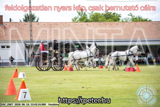 Mintakép 20260614-742