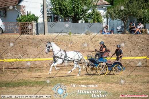 Mintakép 20260809-500