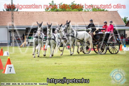 Mintakép 20260614-743