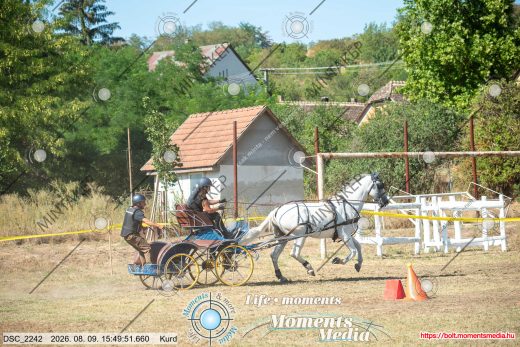 Mintakép 20260809-510