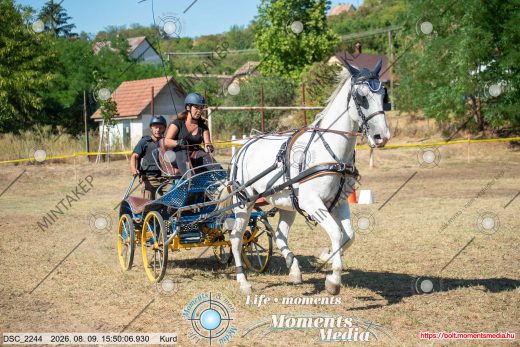 Mintakép 20260809-511
