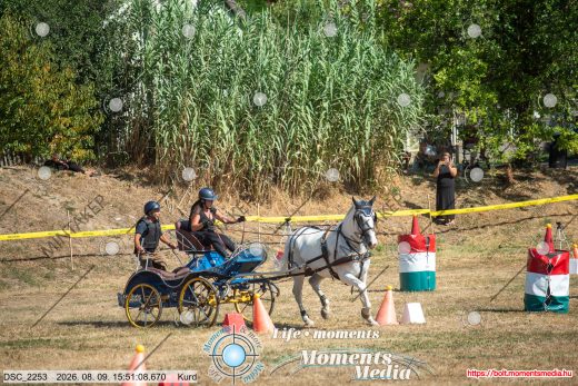 Mintakép 20260809-516