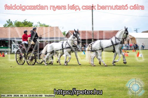 Mintakép 20260614-745