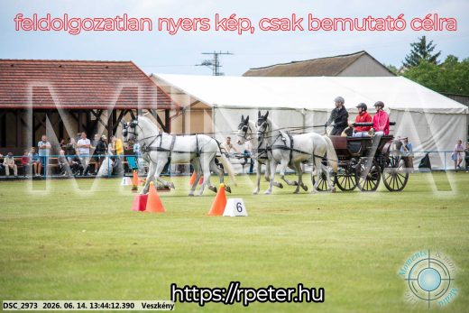 Mintakép 20260614-748