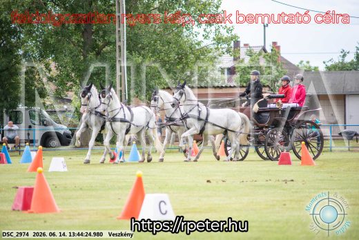 Mintakép 20260614-749