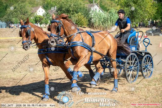 Mintakép 20260809-567