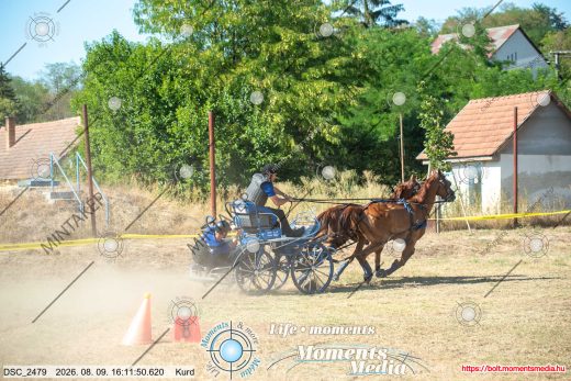 Mintakép 20260809-568