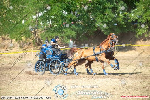 Mintakép 20260809-571