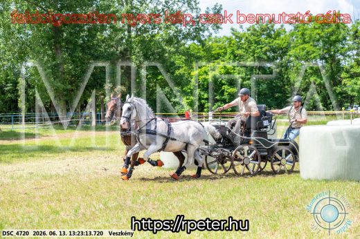 Mintakép 20260613-131