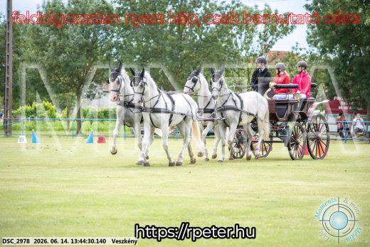 Mintakép 20260614-752