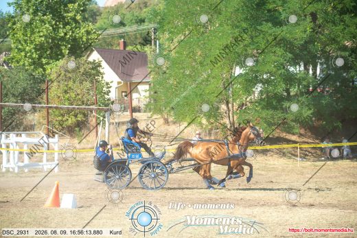 Mintakép 20260809-595