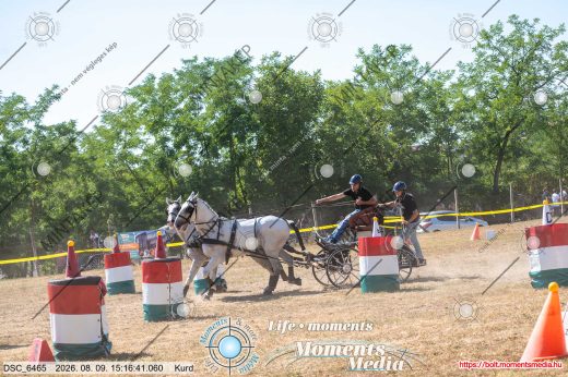 Mintakép 20260809-619