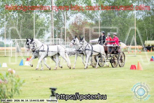 Mintakép 20260614-755
