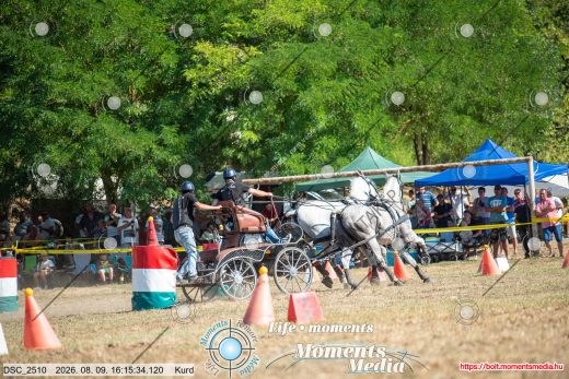 Mintakép 20260809-636