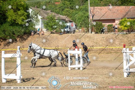 Mintakép 20260809-645
